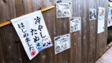 『たぬきはたぬき』×東武動物公園コラボの画像