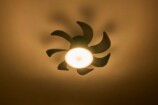 電球色