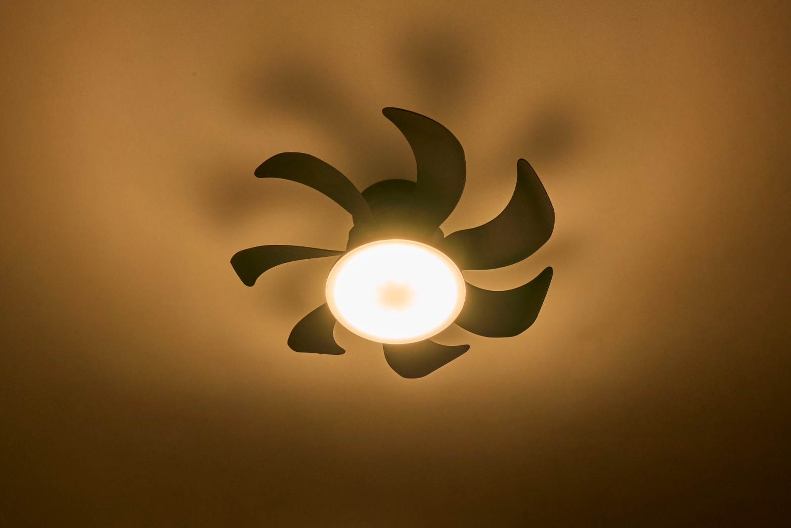 電球色