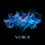 「VOICE」ジャケット写真