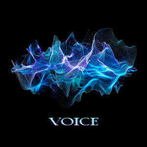 「VOICE」ジャケット写真