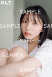 日向坂46・大野愛実が『B.L.T.』表紙にの画像