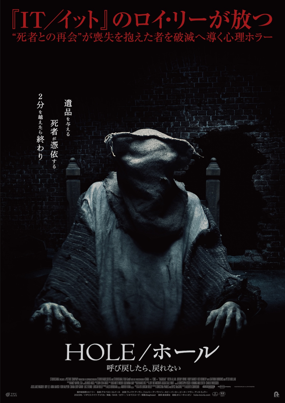 『HOLE/ホール』本ポスター&予告編