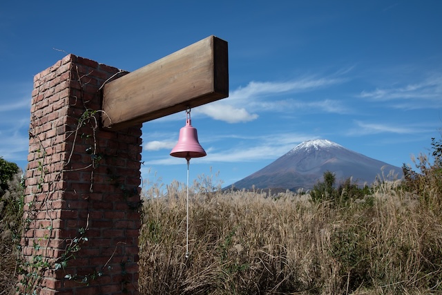 『あいの里』はなぜ支持されてきた？の画像
