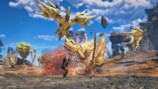 新モンスター「噴衝鳥アラケータ」との戦闘