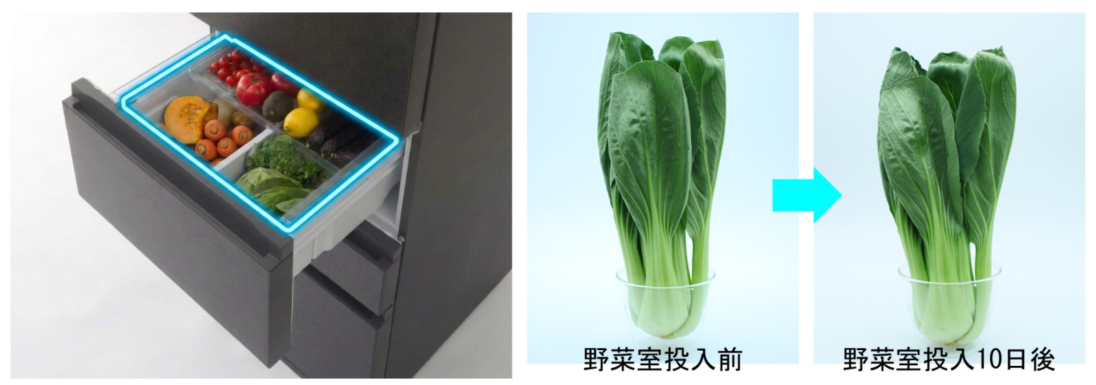 ニトリのスリム大型冷蔵庫が予約開始の画像