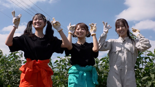 『KAWAII FARM』より