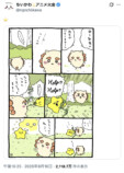 シーサーを救えるのは彼しかいない！の画像
