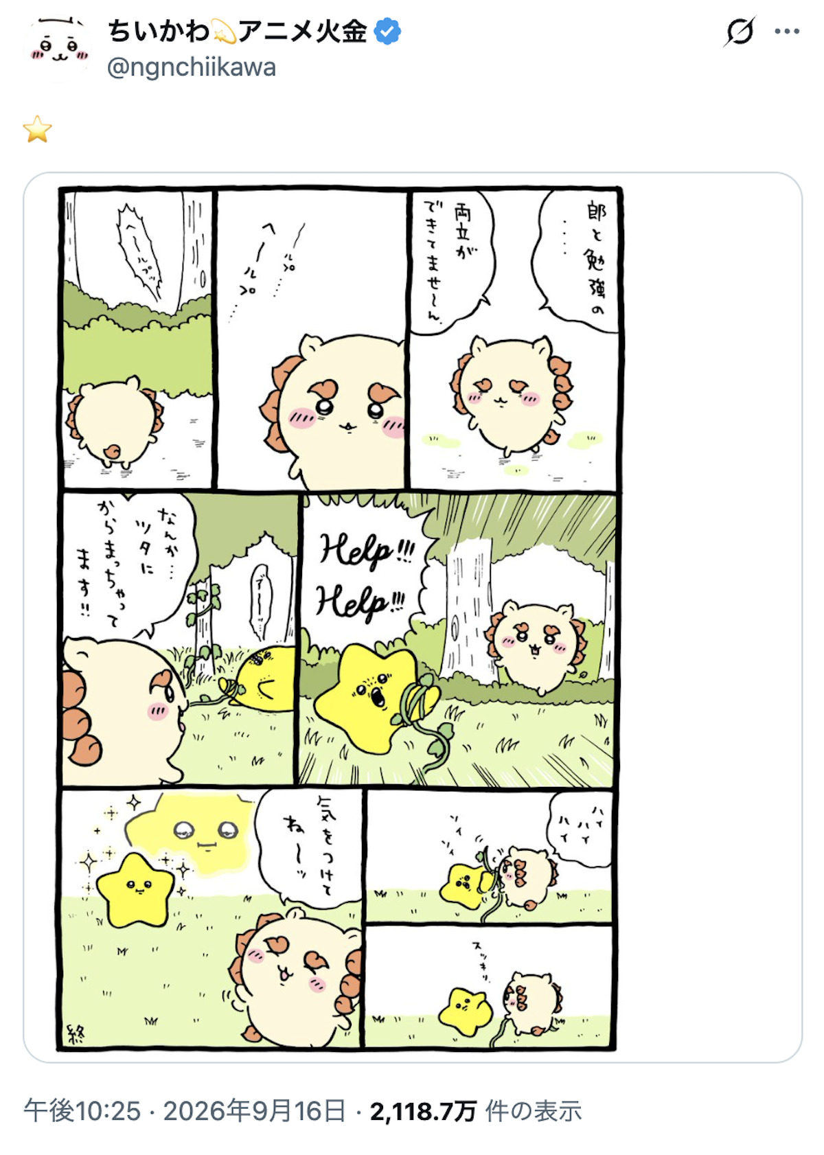 シーサーを救えるのは彼しかいない！の画像