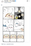 シーサーを救えるのは彼しかいない！の画像
