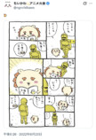 シーサーを救えるのは彼しかいない！の画像
