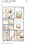 シーサーを救えるのは彼しかいない！の画像