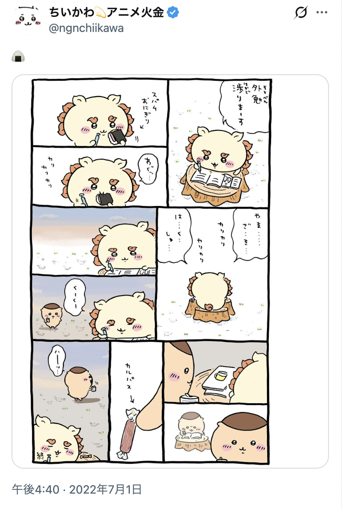 シーサーを救えるのは彼しかいない！の画像