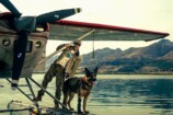 『ハート・オブ・ビースト』4つのジャンルの画像