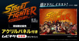 ストリートファイター／ザ・ムービー　アクリルパネル付きバンドルチケット