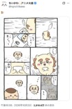 シーサー救いの神で話題！くりまんじゅうの画像