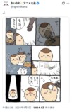 シーサー救いの神で話題！くりまんじゅうの画像