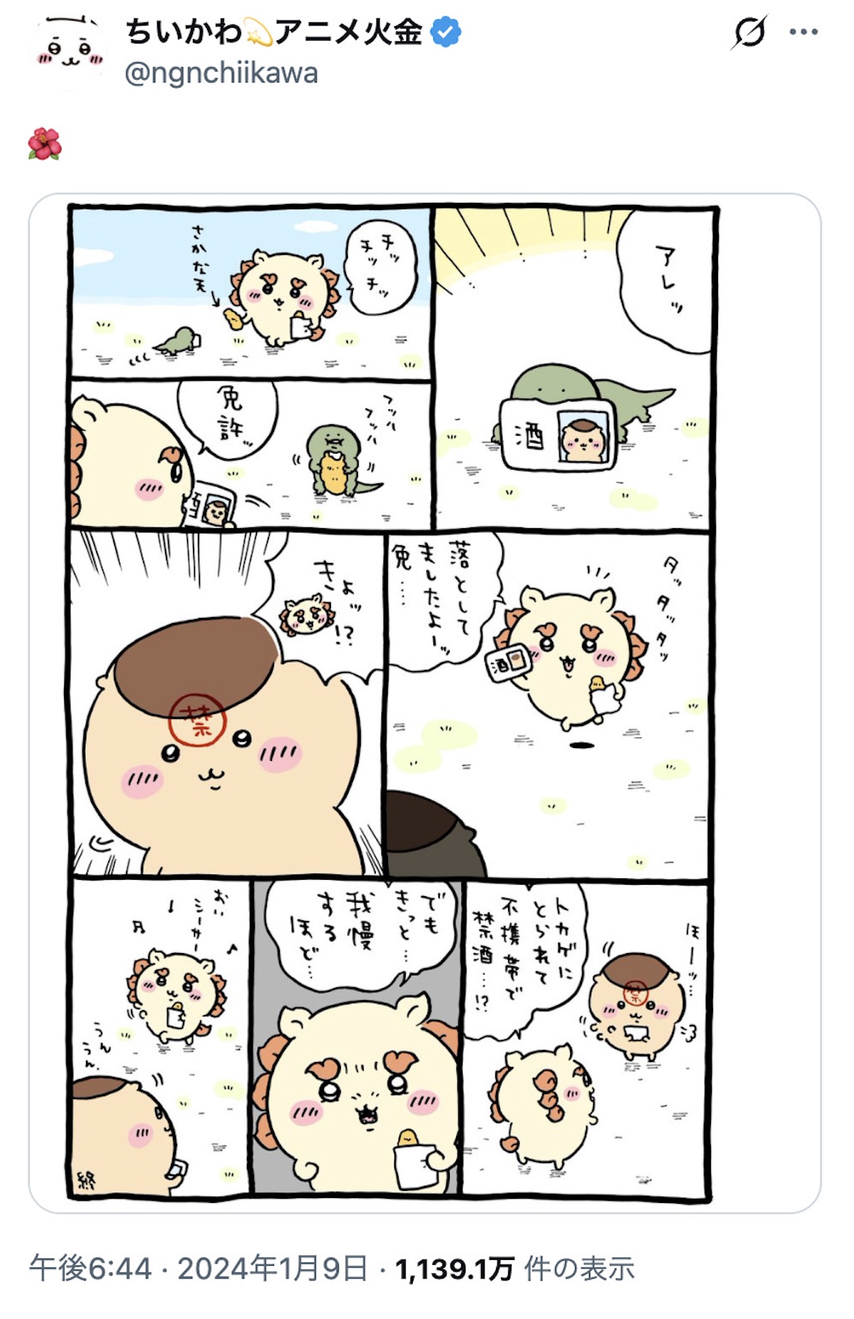 シーサー救いの神で話題！くりまんじゅうの画像