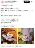 シーサー救いの神で話題！くりまんじゅうの画像