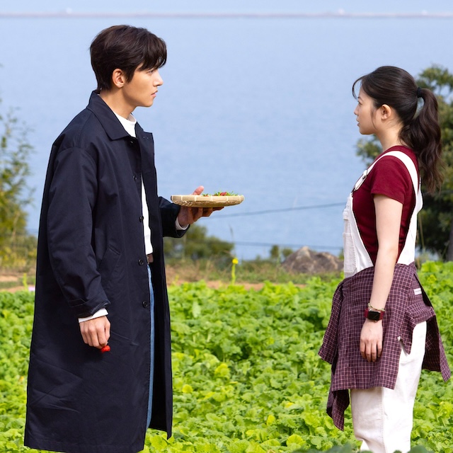 チ・チャンウク×今田美桜、初共演を語り合うの画像