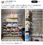 高見沢俊彦とうさぎの髪なびく神コラボの画像