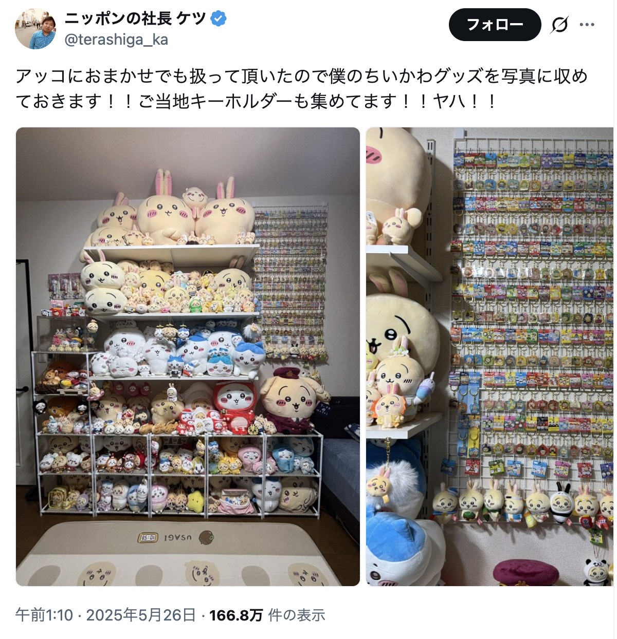高見沢俊彦とうさぎの髪なびく神コラボの画像