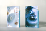 『汝、星のごとく』200万部突破の画像