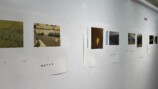 佐内正史『生きている』復刊記念展の画像