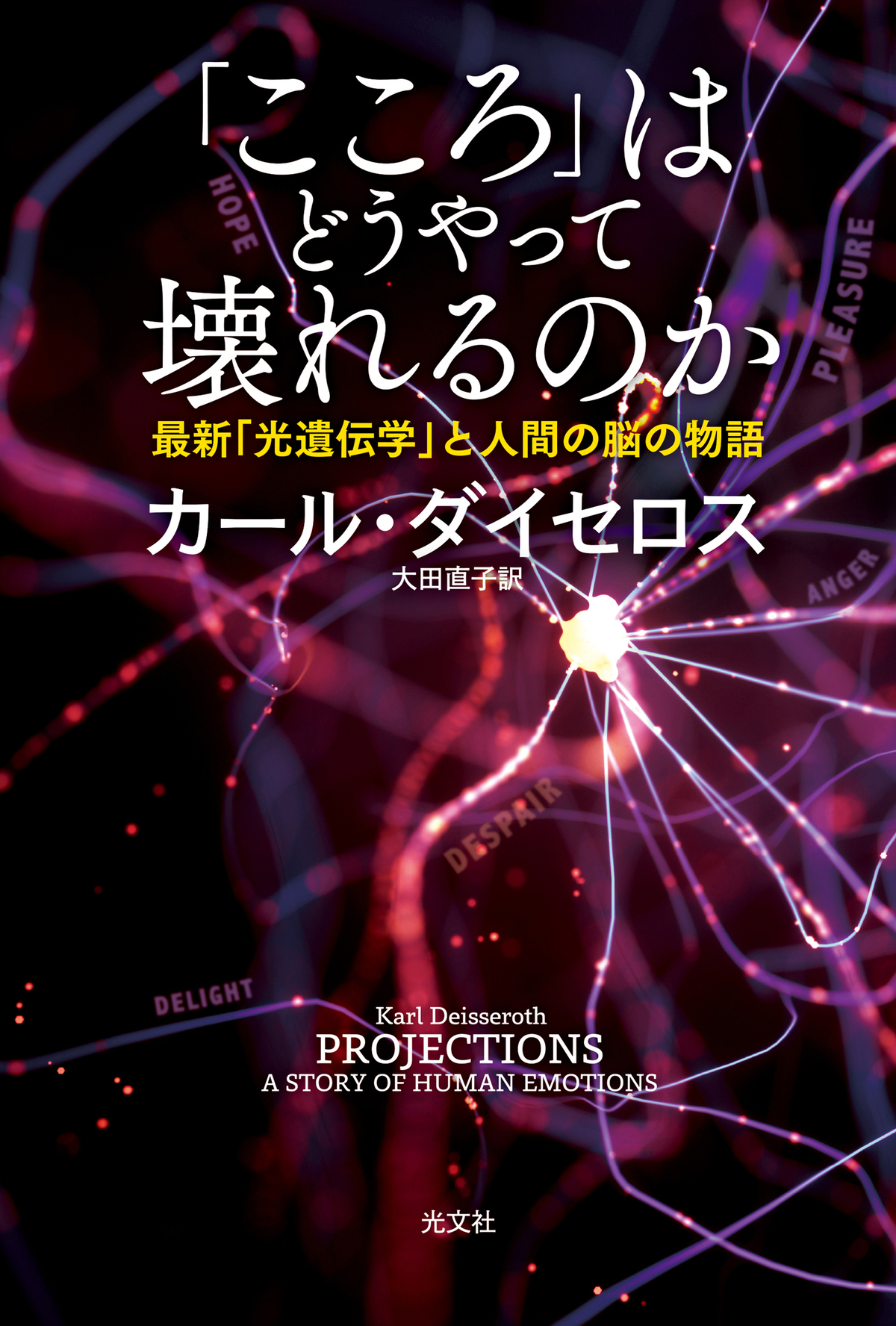 『こころはどうやって壊れるのか』増刷の画像