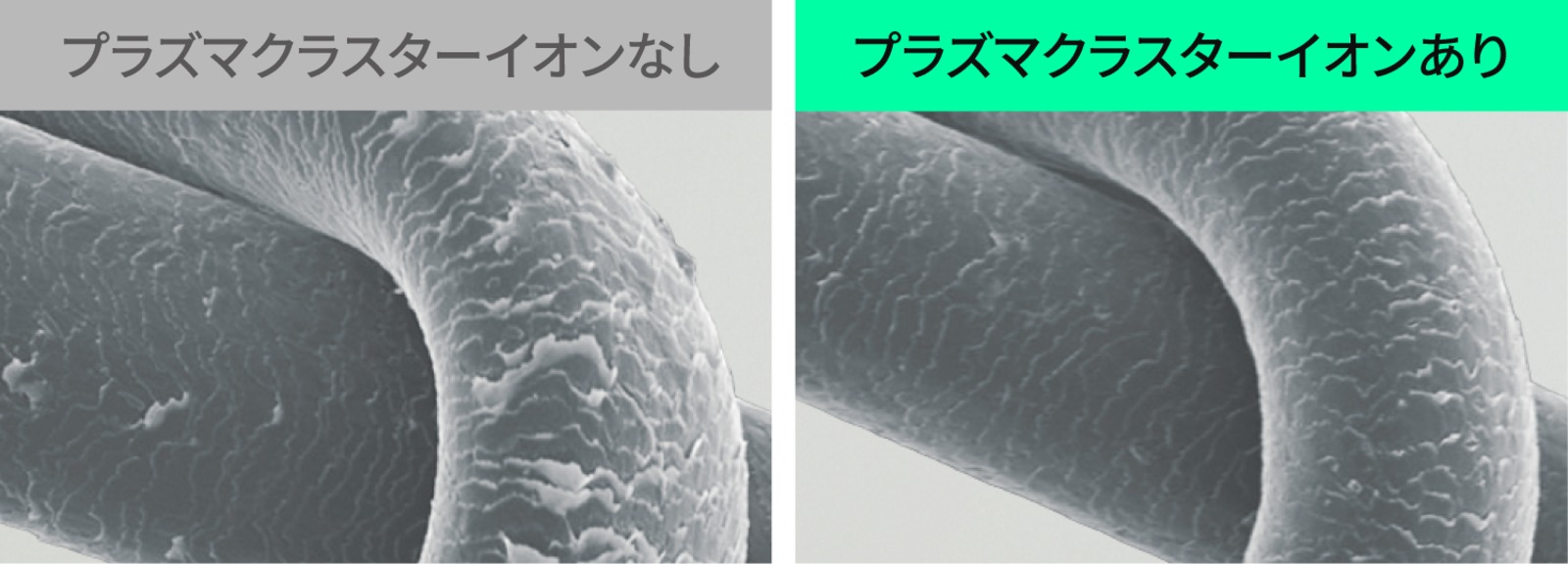 キューティクル比較
