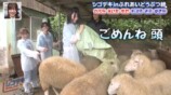 『すーぱーのびしろたいむ』#76の画像