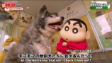 しんちゃん「家族都市」3県の観光PR動画公開の画像