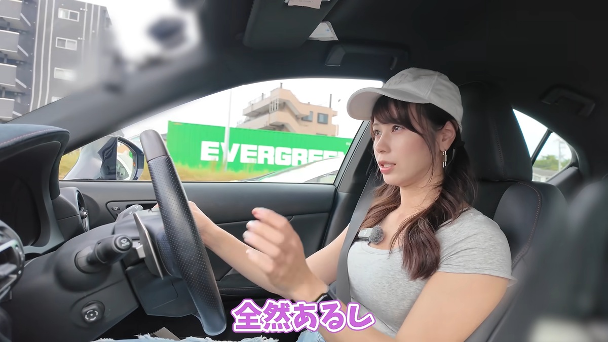 釣りへ向かう車内で愛車の近況を語るあま猫