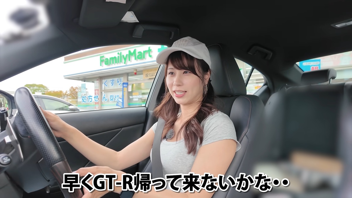 釣りへ向かう車内で愛車の近況を語るあま猫