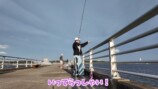 千葉県の海で釣りに挑戦するあま猫