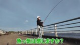千葉県の海で釣りに挑戦するあま猫
