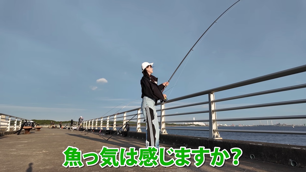 千葉県の海で釣りに挑戦するあま猫