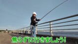泳がせ釣りで竿を持ち、リールを巻くあま猫