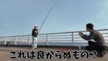 釣りらんたの助言を受けながら竿を持つあま猫