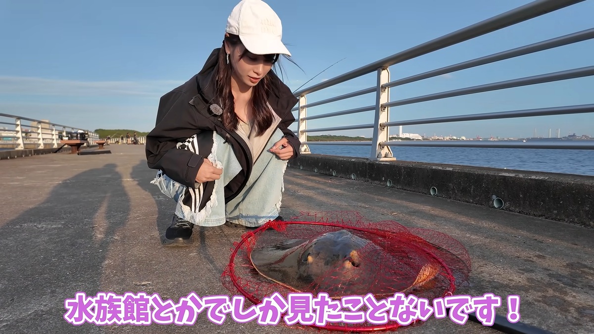 大きなエイの入った網のそばにしゃがむあま猫