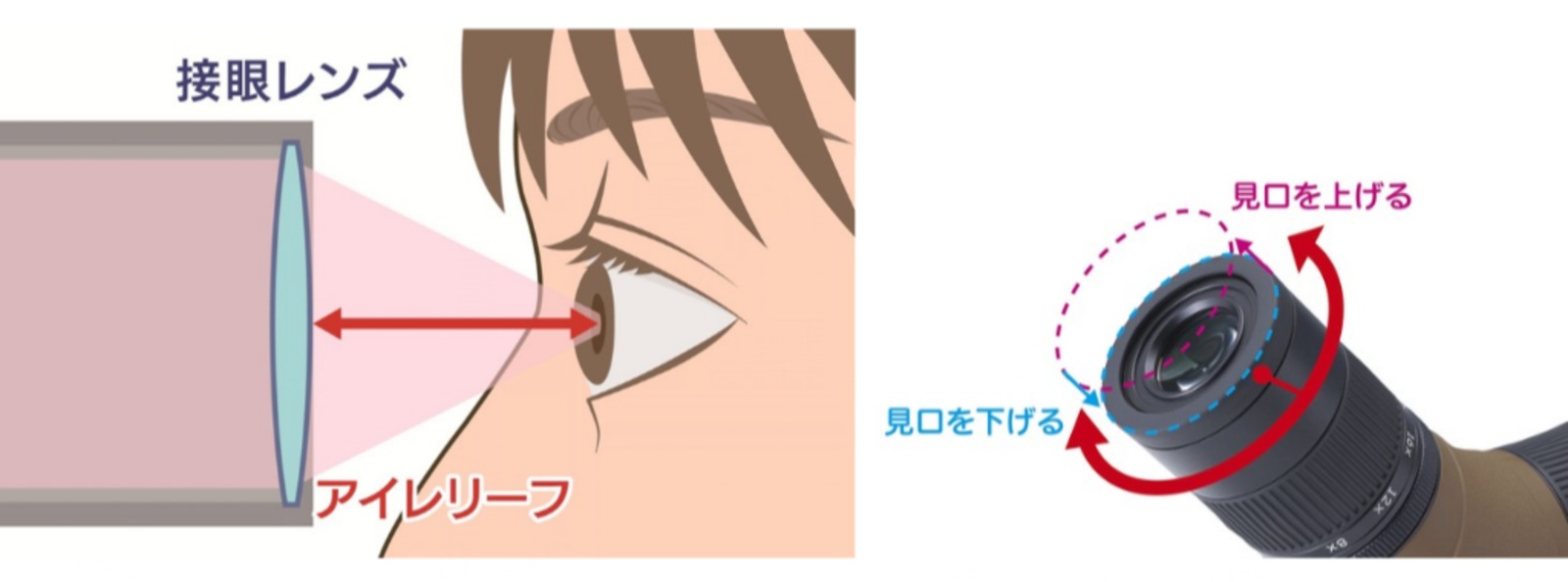 ハイアイポイント設計