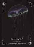 森日向『夜光クラゲが灯した暗号』の画像