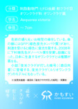 森日向『夜光クラゲが灯した暗号』の画像