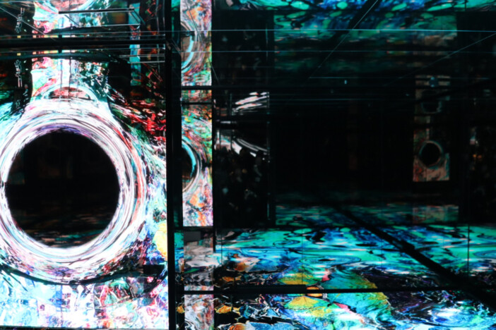 壱の間／FIRST ROOM　さよならホモサピエンス（Goodbye, Homo sapiens） 戸惑う BEWILDER ―「意味が分からないまま、何かを置いていく。」