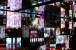 壱の間／FIRST ROOM　さよならホモサピエンス（Goodbye, Homo sapiens） 戸惑う BEWILDER ―「意味が分からないまま、何かを置いていく。」