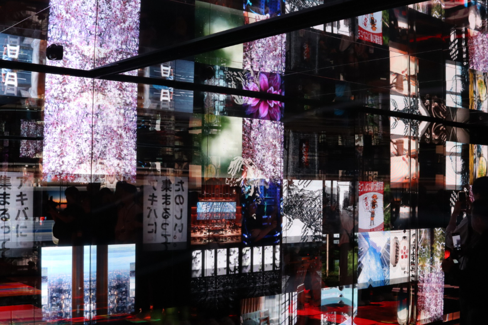 壱の間／FIRST ROOM　さよならホモサピエンス（Goodbye, Homo sapiens） 戸惑う BEWILDER ―「意味が分からないまま、何かを置いていく。」