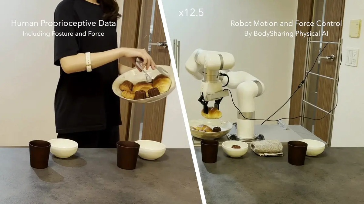 動作と力加減を含む体験データをロボット制御に活用