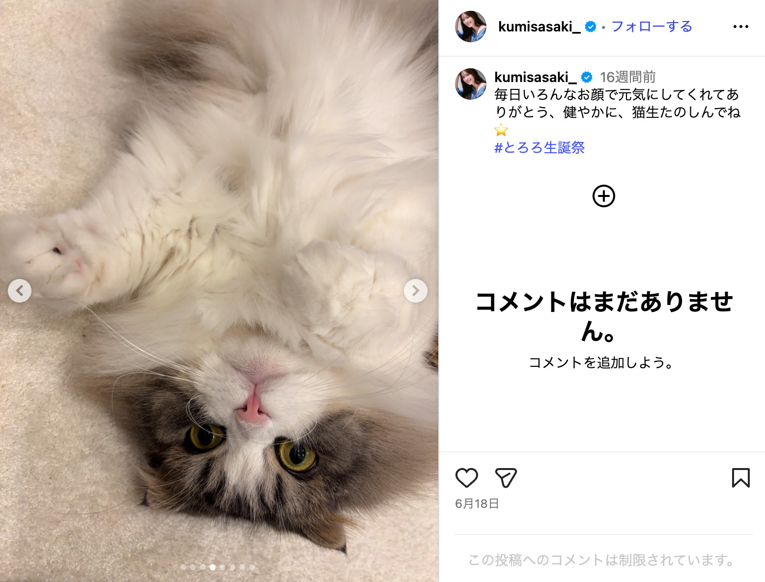 『SPY×FAMILY』作者が松田里奈をお祝いの画像