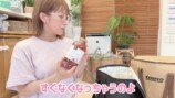 子どもたちが好きないちごミルクのもと