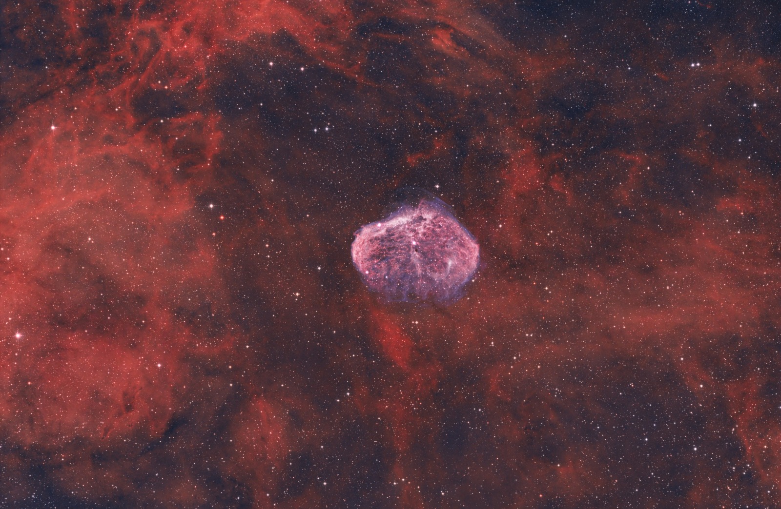 NGC6888 | Askar N210 + ZWO ASI2600MC Pro